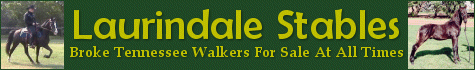 Click Here to see Laurindale Stables